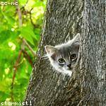 Foto do perfil de arielle_lesch_452