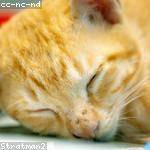 Foto do perfil de emard_prince_277
