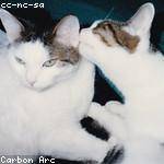 Foto do perfil de paz_carmella_119