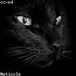 Foto do perfil de zamana_laura_702