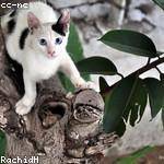 Foto do perfil de latifa_rezende_475