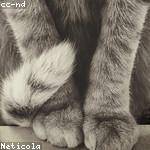 Foto do perfil de sepulveda_josane_846