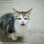 Foto do perfil de wazevedo_995