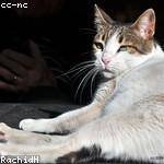 Foto do perfil de jaene_toledo_877
