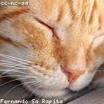 Perfil do usuario jacira_beltrao_422
