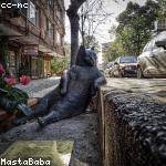 Perfil do usuario gomes_aila_383